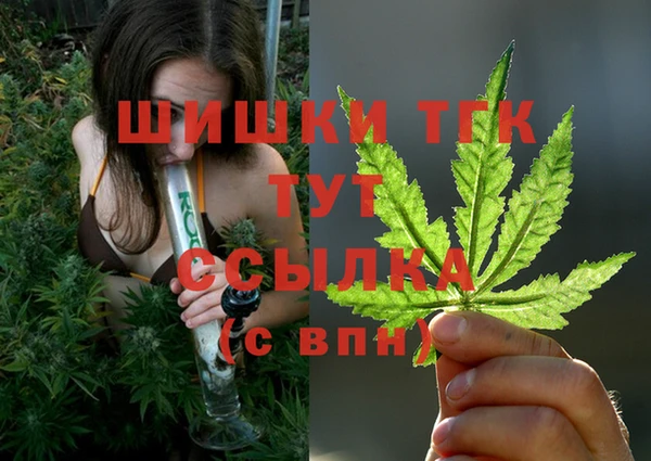 прущий лед Надым